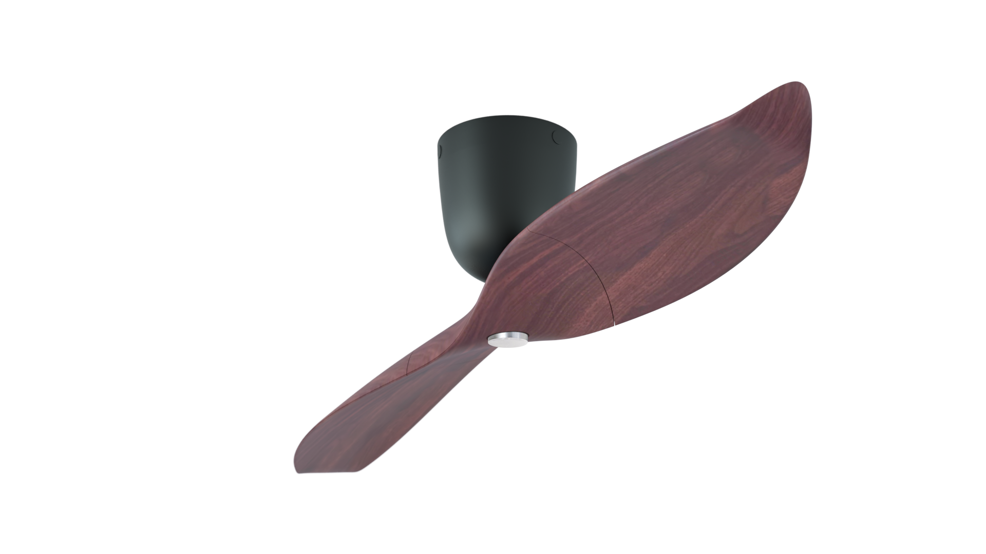 Aeratron AE+2 with Light in Dark Wood Look / Black