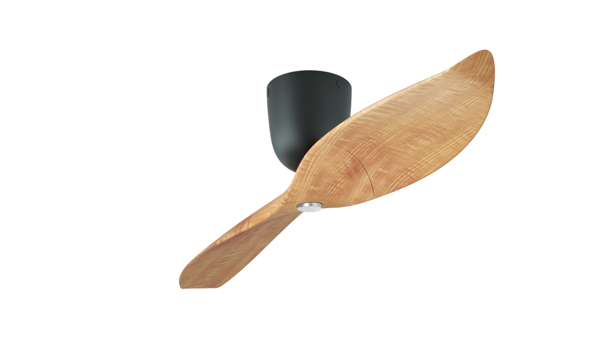 Aeratron AE+2 with Light in Light Wood Finish / Black