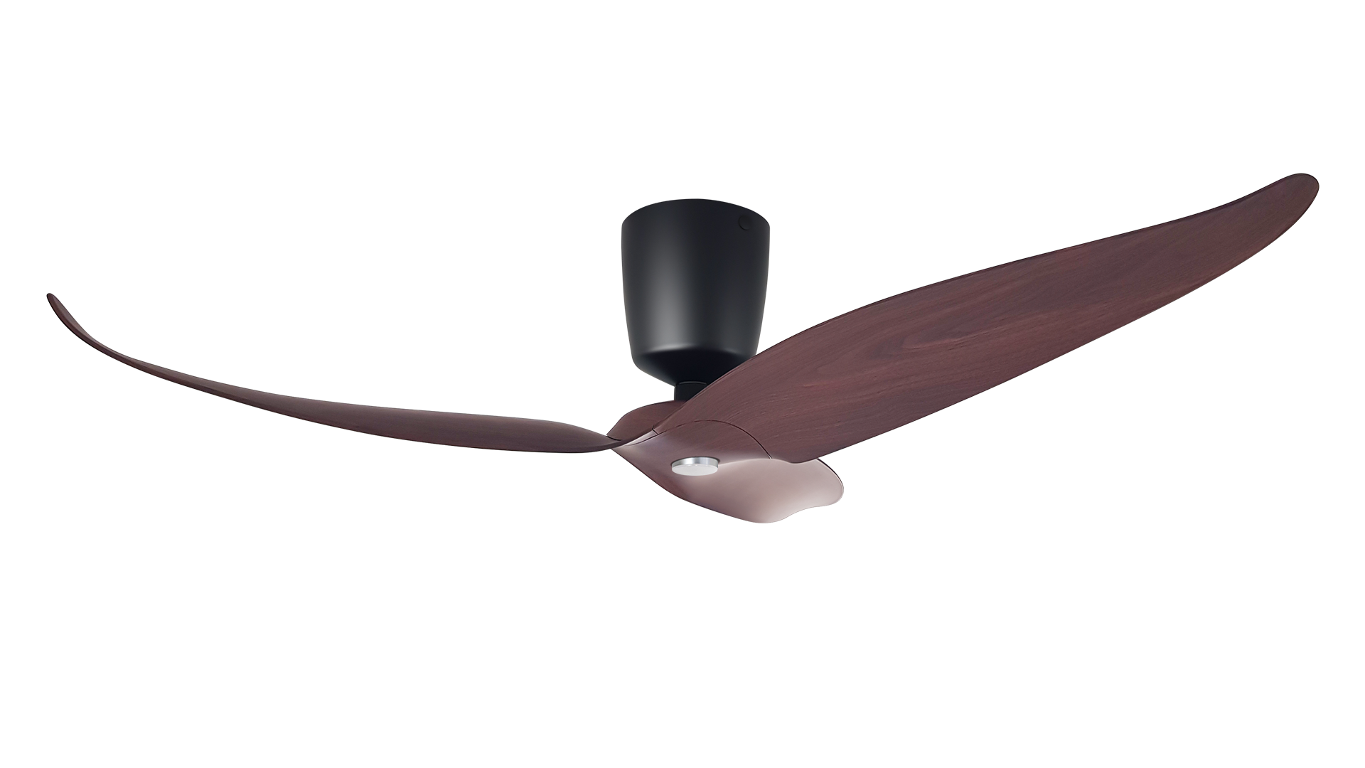 Aeratron FQ3 with Light in Dark Wood Finish / Black