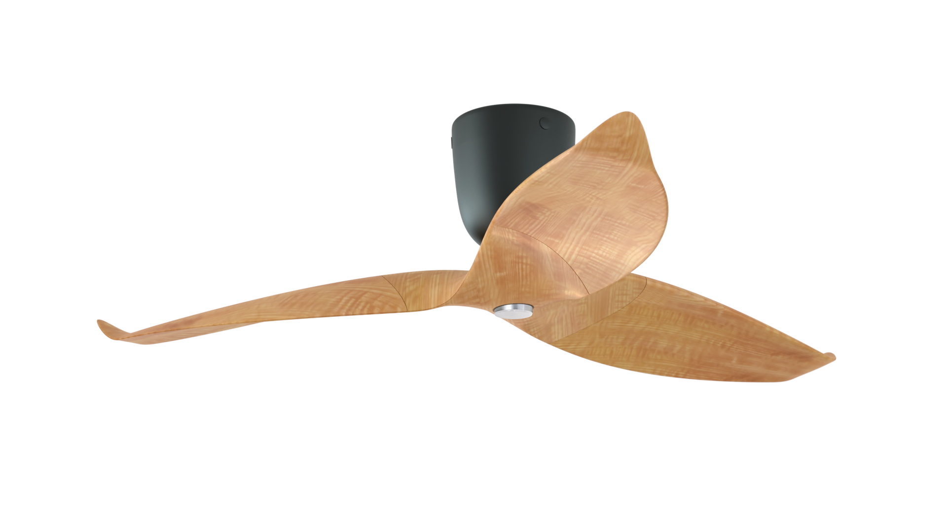 Aeratron AE+3 mit Licht helle Holzoptik / schwarz